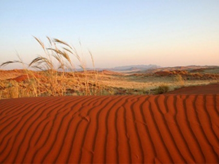 Namibia Tour 2